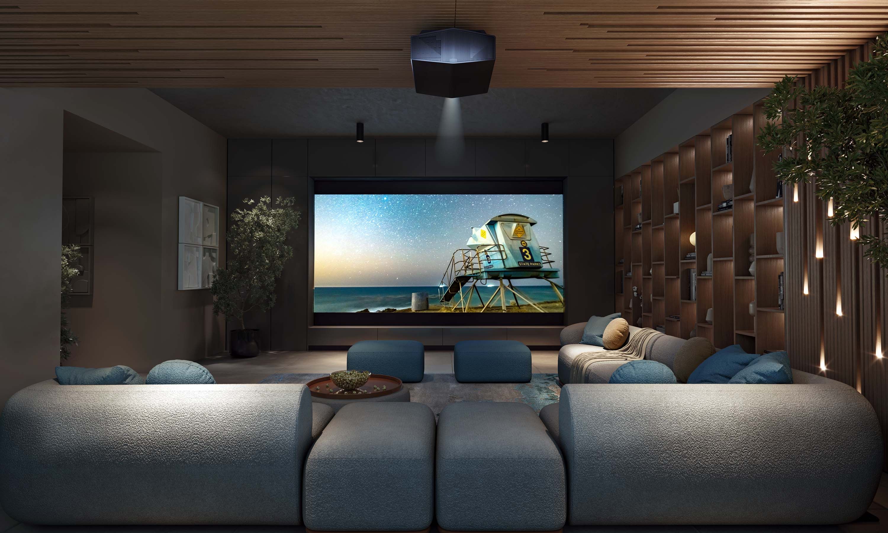 home theater with sony technology and dim lighting